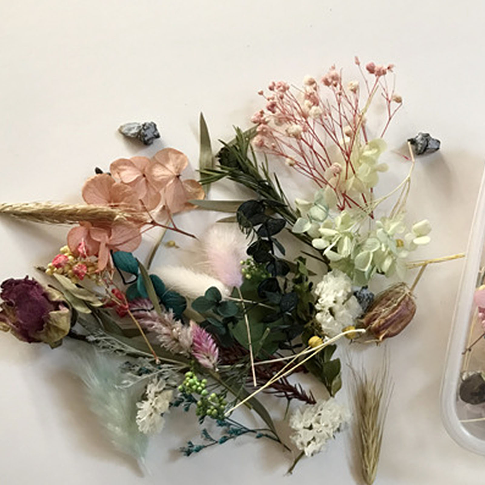 자연 말린 꽃 키트 누르면 삽화 공예 잎 허브 DIY  - Dried Herbs 리뷰 및 가격