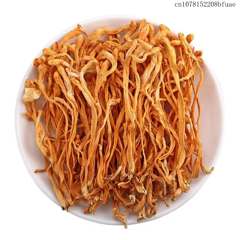 250g/500g 건조 동충하초 꽃 - 공예, 장식,  - Dried Herbs 리뷰 및 가격