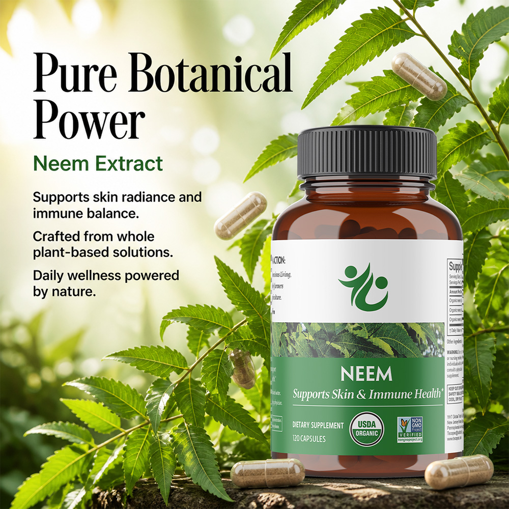 님잎 캡슐 - 피부, 면역 및 간 건강을 위한 허브 보 - Herbal Supplement 리뷰 및 가격